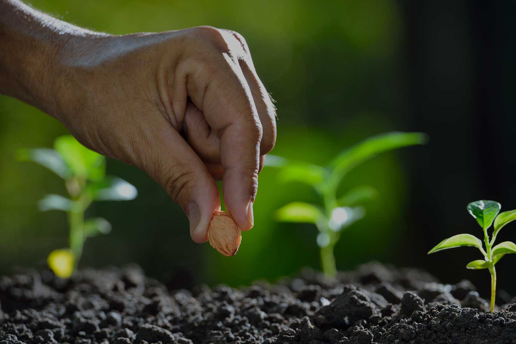 MISIONES Y EVANGELISMO